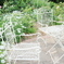 Beautiful garden