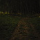 夜の遊園地