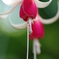 AVEN0280