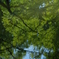 AVEN0393