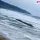 冬の日本海