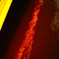 photo_2583442