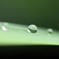 雨露