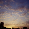 夕空に向かって愛を叫ぶ♪
