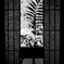 京都の夏