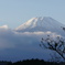 Mt. Fuji