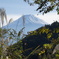 Mt. Fuji