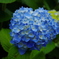 FOR YOU