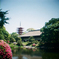 浅草寺特別公開庭園にて
