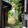DSC09243