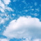 photo_2595177