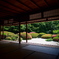 サツキ咲く庭園