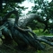 DSC04895_R