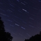 森の星空3