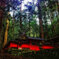 室生龍穴神社2