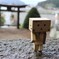 ダンボーお参りする。