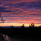 ある日の夕日
