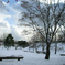 white Hokkaido 2005