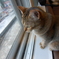 photo_2603910