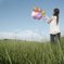 fly 2010