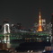 東京湾と東京タワー２