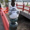 神社で
