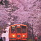 桜の駅
