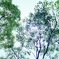 公園３