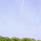 公園４