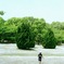 公園５