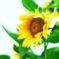 夏はすぐそこに