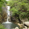 初夏の仙娥滝