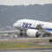 久しぶりのFLT