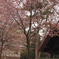 2013年神宮春2