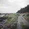 海沿いの畦道