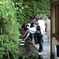 水占みくじ