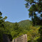 縄文杉からの帰り道
