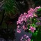 20130607-IMG_3621