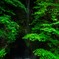 20130608-IMG_3761