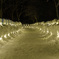 雪道