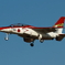 red　dolphin