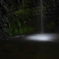 水面に咲く