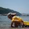 海