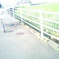 PAP_0019