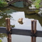 かえるー