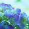 Especially for you♪