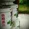 菊正宗 酒