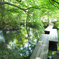 京都 新緑めぐり 2013　8