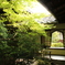 妙心寺　桂春院庭園6IMG_0857