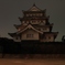 夜の千葉城